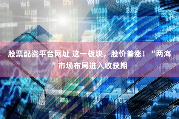 股票配资平台网址 这一板块，股价普涨！“两海”市场布局进入收获期