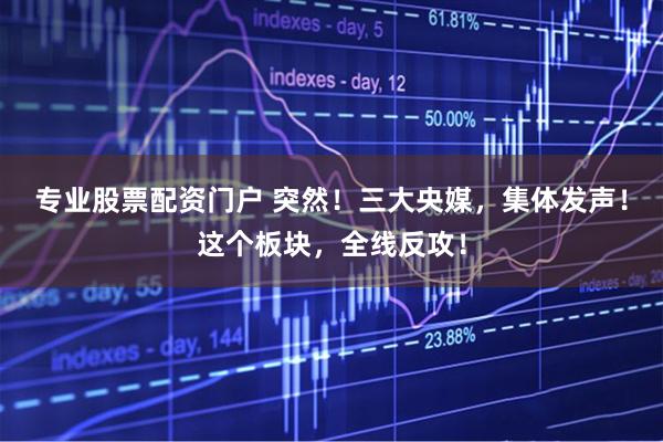 专业股票配资门户 突然！三大央媒，集体发声！这个板块，全线反攻！