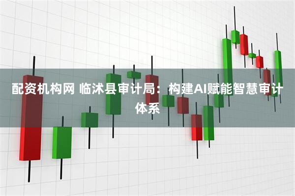 配资机构网 临沭县审计局：构建AI赋能智慧审计体系