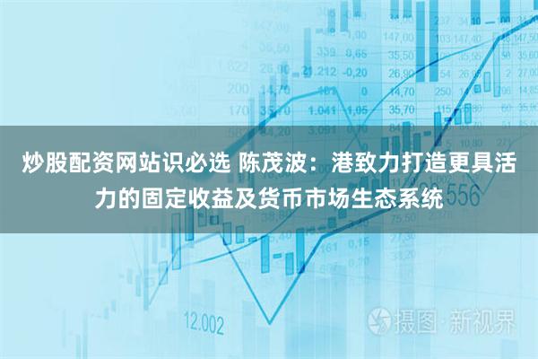 炒股配资网站识必选 陈茂波:港致力打造更具活力的固定收益及货币市场生态系统