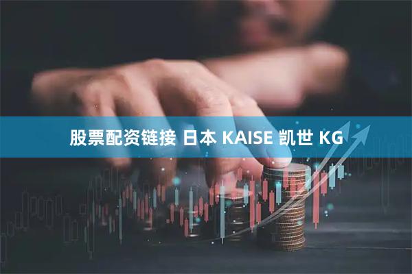 股票配资链接 日本 KAISE 凯世 KG